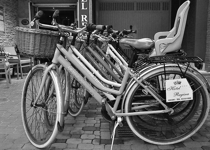 فندق Regina غرادو